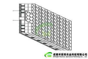 香港六宝经典大全